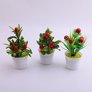 Cây cảnh hình trái cây