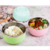 HL-0193 Bát nhiều màu 11cm